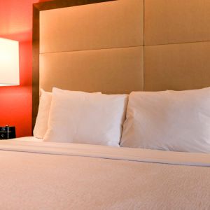 King Bed ADA Accessible Sleeper Sofa & Micro/Fridge
